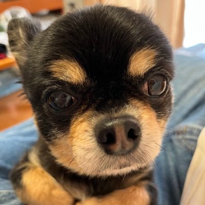 NBhrpfEsTr49029's profile picture. 