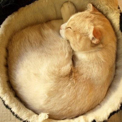 chaff1985's profile picture. 