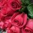 Gurcharan94173 Twitter Indian User 1648316229017554946