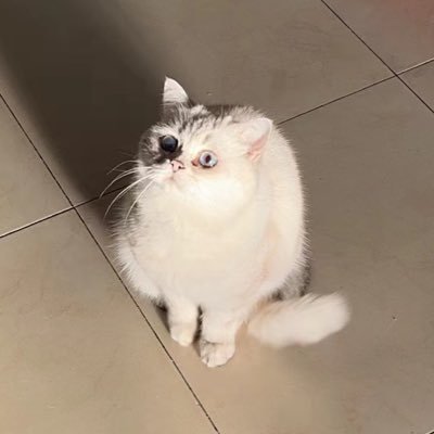 zhiriさんのプロフィール画像