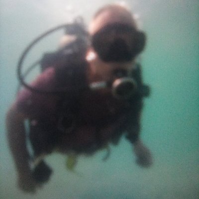 Baconsarni1's profile picture. Warning:

I'm not tolerant of overt stupidity.