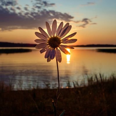 📷 photographer
😘..Only memory is the only thing that is born but never dies.