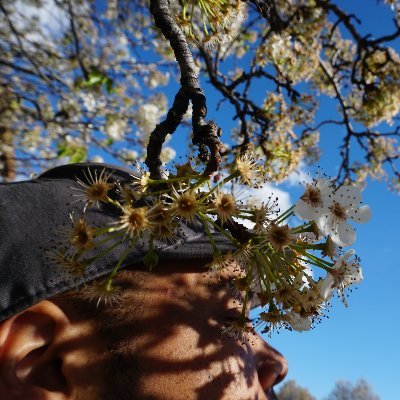 jamauribowles's profile picture. Jamauri. Rising writer. Writing for the @Winsidr team. Haverford College '17. Sports/photography lover. Looking to explore the world.