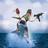 bob_willis1's profile image