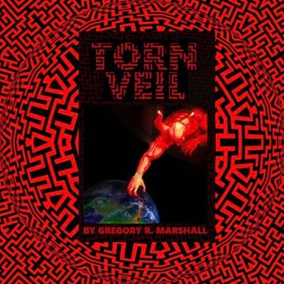 Author TornVeilNovel on IG