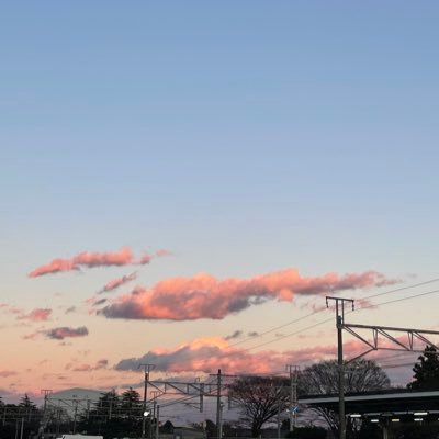 mi18303653544's profile picture. 