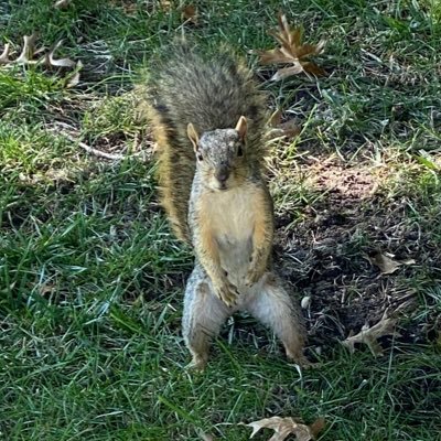 RobbWatson10's profile picture. 