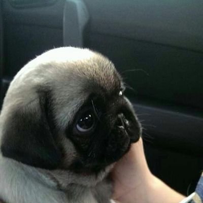 aamuvs's profile picture. 