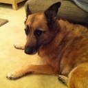 jess young - @jessabelsyoung - Twitter