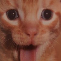 FUJI (@bf7fujii) 's Twitter Profile