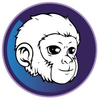 PolygonMonkeys(@PolygonMonkeys) 's Twitter Profile Photo