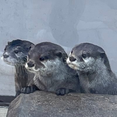 yacchi_1854's profile picture. プログラミング勉強中