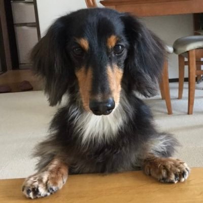 ダンスチーム『電撃チョモランマ隊』で、気づけばボーカル担当してます。芝居をするのも、観るのも好きなダンサーです。イラストを描くのも好きなダンサーです。よろしくです。 TikTok https://t.co/LrOOtJKUkb