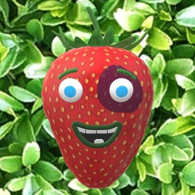 (Rev)bruisedstrawberry.bsky.social