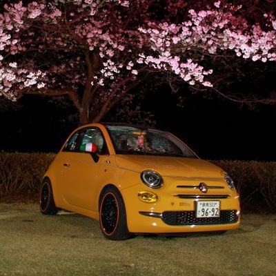 2016.10/21よりチンク乗り FIAT500 twinair Lounge 5MT LHD GiallaSolare / 職業:錬金術師 / 酎珈琲 / aikoジャンキー / 40代 裸眼(老眼) 男子 / 大剣使い / FIAT PANIC 主催 @fiat_panic_2025