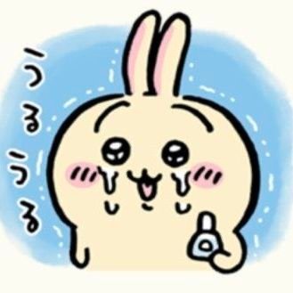 mindoog816's profile picture. 