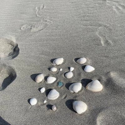 namunamu357's profile picture. 男です。セフレ探しの旅へ〜   #台東区 #セフレ