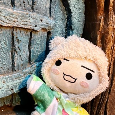 itoro_toro's profile picture. どこでもいっしょのトロと暮らしてるアカウント。大量に写真が溜まってきたのでアップしていきます🐈