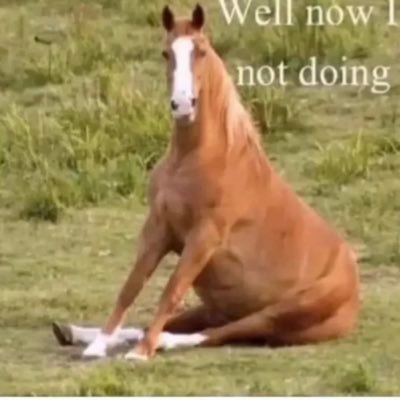 sjsjshshsj1828's profile picture. 