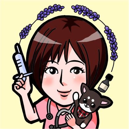 株主優待と高配当株が大好きな元看護師🏥/しばらく看護師はお休み(退職)/現在、少しずつ優待株から高配当株へ移行中/インデックス投資/日本個別株/中~長期投資/老後も株主優待と配当を楽しみたい/優待のつぶやき多め/
#投資家さんと繋がりたい
#株主優待
#日本高配当株
