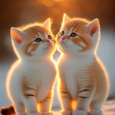 kiranaivory's profile picture. lakukan yang terbaik.. yang menurutmu itu baik untuk dilakukan😊