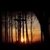 Sunrise & Sunset (@ssatts) Twitter profile photo Sunrise & Sunset (@ssatts) Twitter profile photo