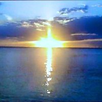 sdv62 (@sdv6229) 's Twitter Profile
