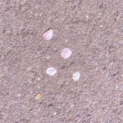 sths0722's profile picture. 
