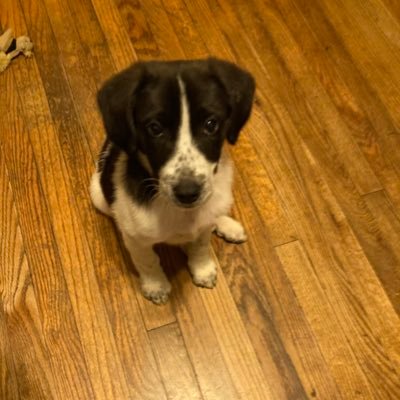 JanetA88794436's profile picture. 