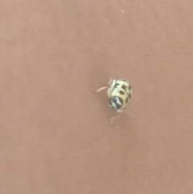 mirlane34455095's profile picture. Paz interior, o que me faz forte✊🏽✊🏽