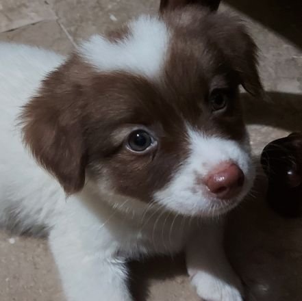 DisguisedBen's profile picture. Hopeful voyage 👨‍🎓