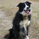 Peter Rooke - @RookePeter - Twitter