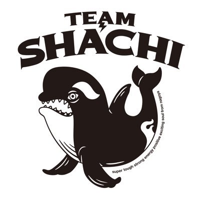 TEAM SHACHI（チームシャチ）さんのプロフィール画像