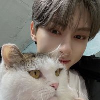 seventeen 🧡(@gyeoljun) 's Twitter Profile Photo