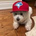 Dale Reisler 🇺🇦 🇨🇦 🇮🇱💛🎗️ (@daleincanada) Twitter profile photo Dale Reisler 🇺🇦 🇨🇦 🇮🇱💛🎗️ (@daleincanada) Twitter profile photo