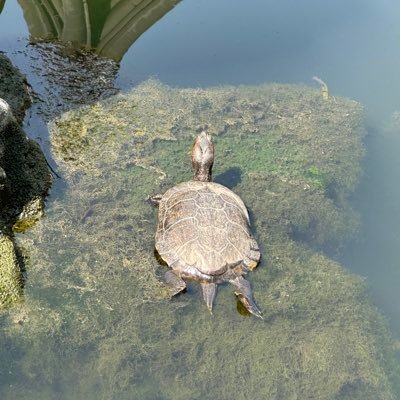 knqbt14818281's profile picture. 