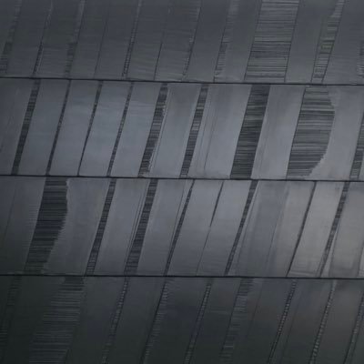 naelciel's profile picture. j'aime très peu les milliardaires et les droitards