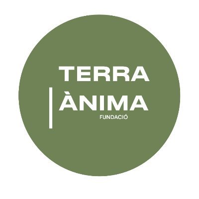 @FTerraiAnima