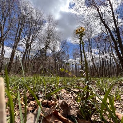 mynametie's profile picture. I’m evil and nefarious