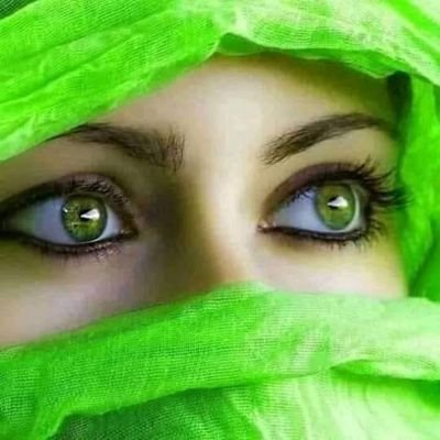 MeghlaSS's profile picture. 