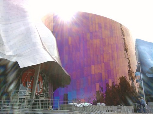 beez1665's profile picture. Sponge