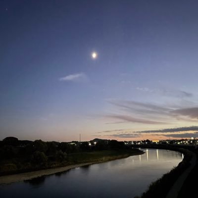 ShionImai's profile picture. 車、ミニカーその他諸々、多趣味な人です。金貯めて車買います