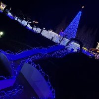 青ダック (@daiace1111) Twitter profile photo