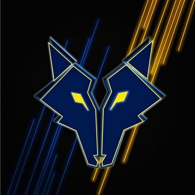 DBprepaphys's profile picture. Physical trainer freelance  #sport #physicaltrainer #préparationphysique #basketball #crossfit #martialart #running