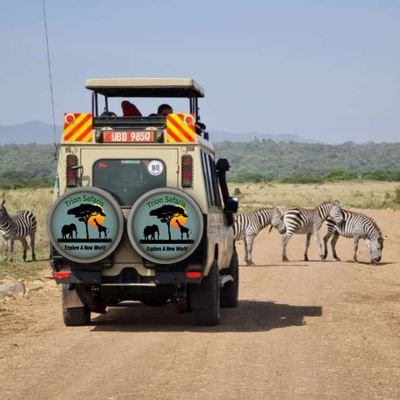 For customized Budget and Luxury Gorilla Tours and wildlife safaris in East Africa. Contact Us:
Email ✉️ info@trionsafaris.com