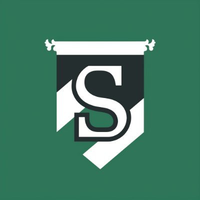 Der FSV Saxonia Neukirch ist ein virtueller Fußballverein im Spiel https://t.co/d2dj7wuBud