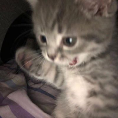 fquyi9's profile picture. 