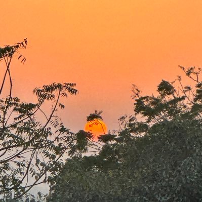 MumtazDad's profile picture. love Pakistan and work for prosperity of country