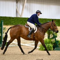 Uptight Equestrian🤍 (@uptight_equest) 's Twitter Profile