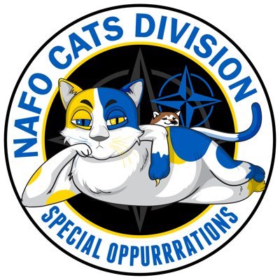 Слава Україні  #NAFOCatsDivision fundraisers and actions will be announced here